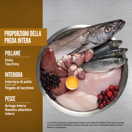 null - Product image 6.0